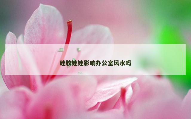 硅胶娃娃影响办公室风水吗