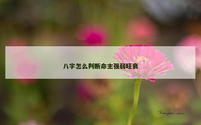 八字怎么判断命主强弱旺衰