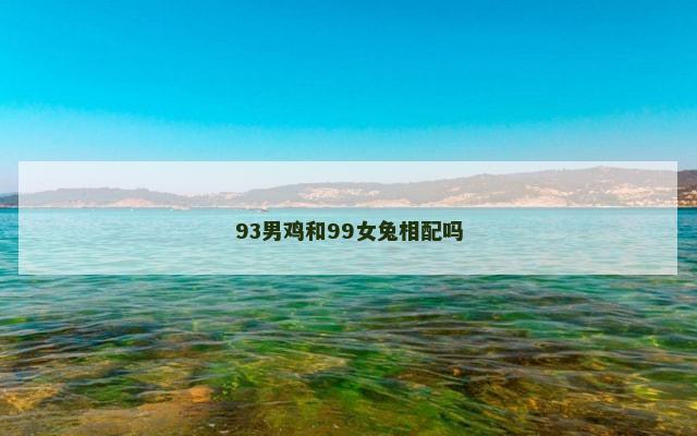 93男鸡和99女兔相配吗