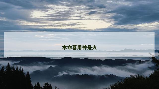 木命喜用神是火
