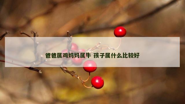 爸爸属鸡妈妈属牛 孩子属什么比较好