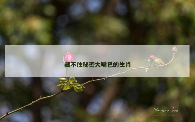 藏不住秘密大嘴巴的生肖