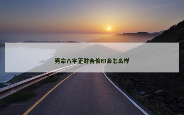 男命八字正财合偏印会怎么样