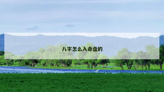 八字怎么入命盘的