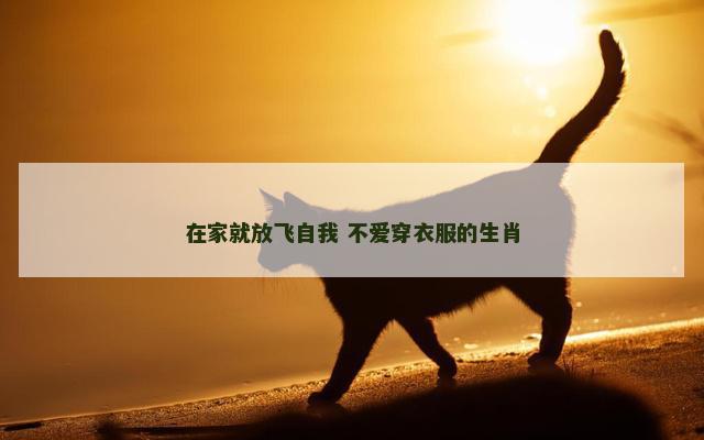 在家就放飞自我 不爱穿衣服的生肖