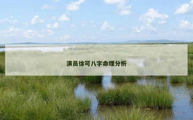 演员徐可八字命理分析