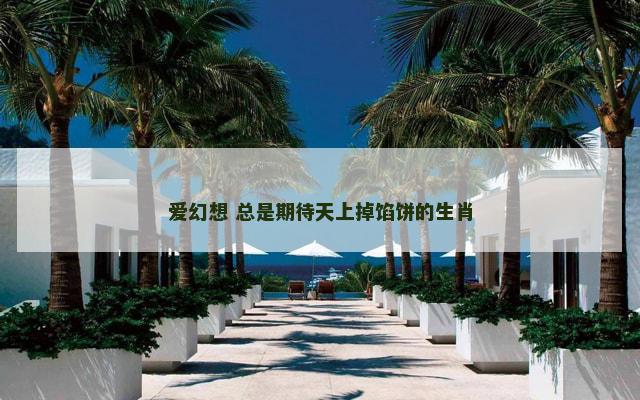 爱幻想 总是期待天上掉馅饼的生肖