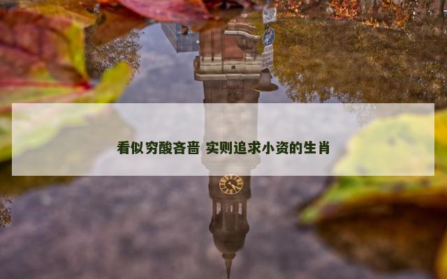 看似穷酸吝啬 实则追求小资的生肖