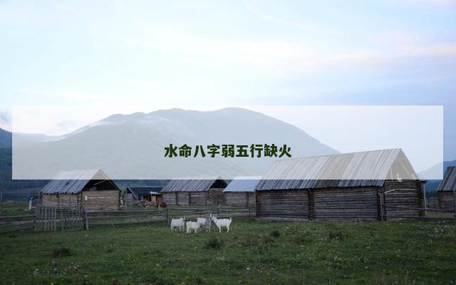水命八字弱五行缺火