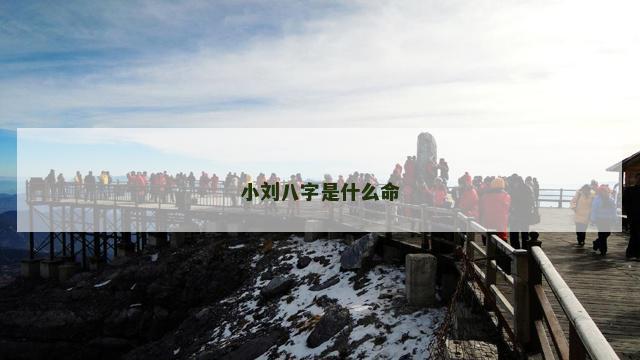 小刘八字是什么命