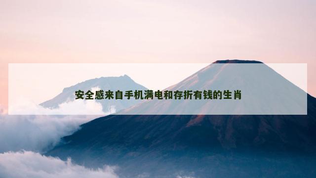安全感来自手机满电和存折有钱的生肖