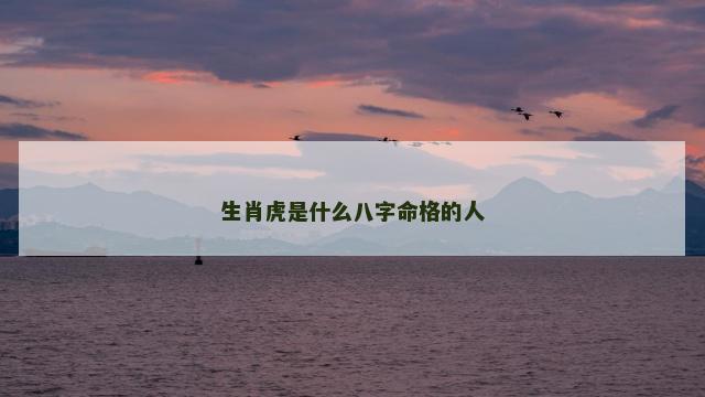 生肖虎是什么八字命格的人