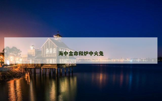 海中金命和炉中火兔