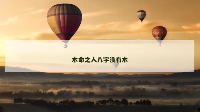 木命之人八字没有木