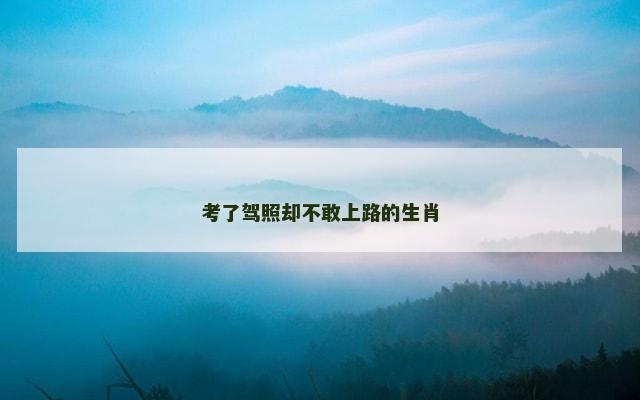 考了驾照却不敢上路的生肖
