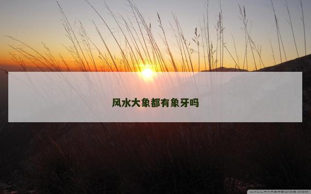 风水大象都有象牙吗