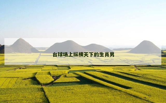 台球场上纵横天下的生肖男