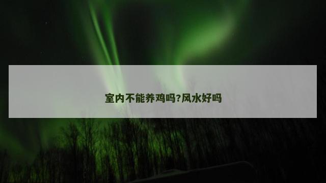 室内不能养鸡吗?风水好吗