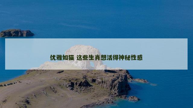 优雅如猫 这些生肖想活得神秘性感