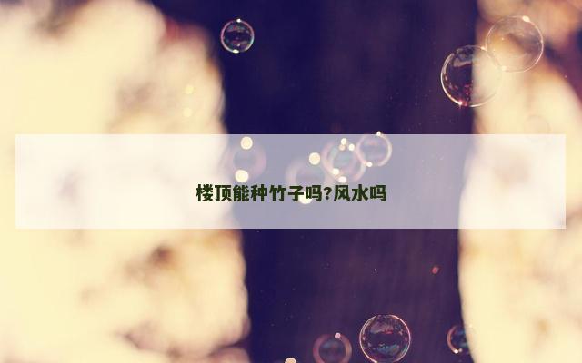楼顶能种竹子吗?风水吗