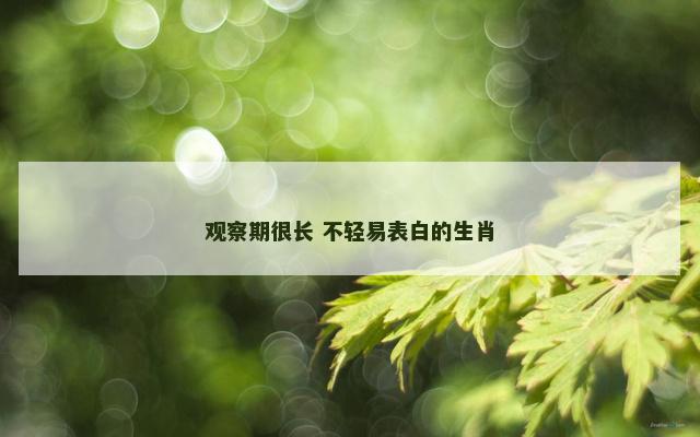 观察期很长 不轻易表白的生肖