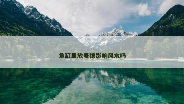 鱼缸里放麦穗影响风水吗