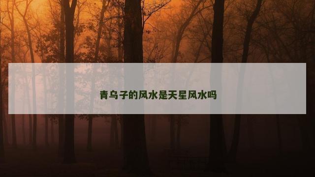 青乌子的风水是天星风水吗