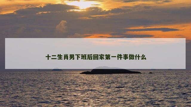 十二生肖男下班后回家第一件事做什么