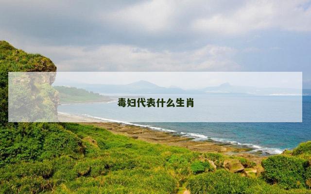 毒妇代表什么生肖