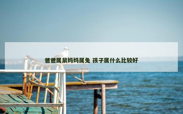 爸爸属鼠妈妈属兔 孩子属什么比较好