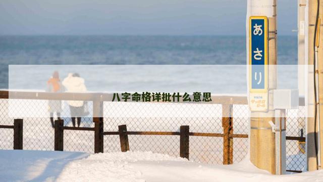 八字命格详批什么意思