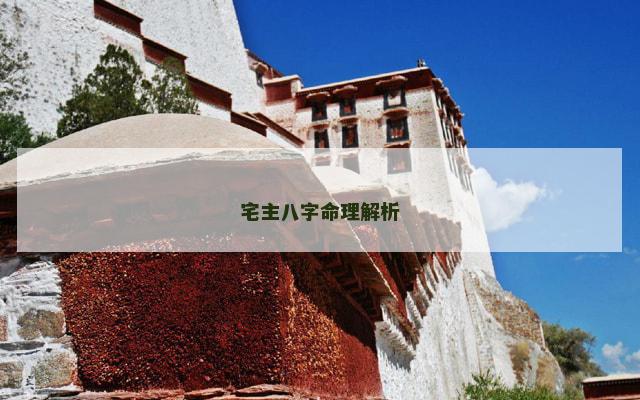 宅主八字命理解析