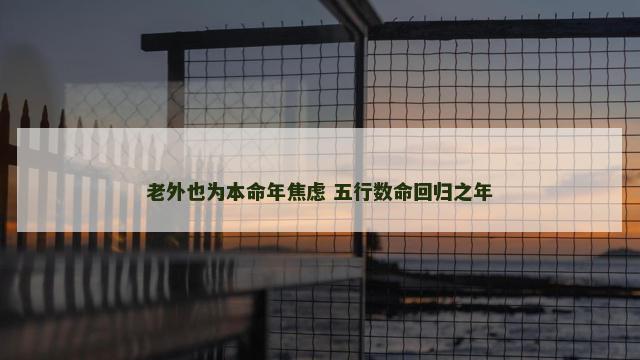老外也为本命年焦虑 五行数命回归之年