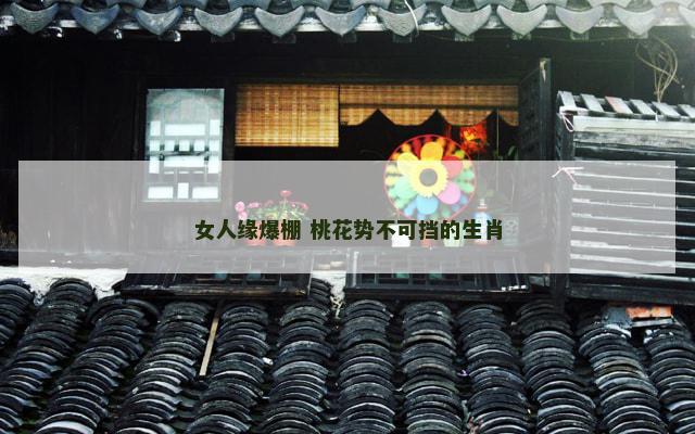 女人缘爆棚 桃花势不可挡的生肖