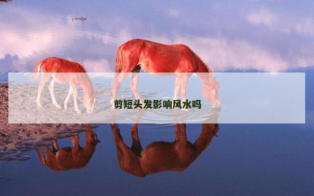 剪短头发影响风水吗