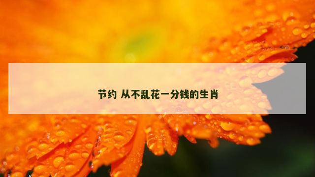 节约 从不乱花一分钱的生肖