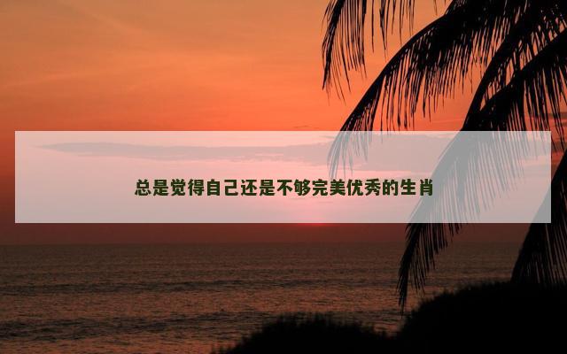 总是觉得自己还是不够完美优秀的生肖