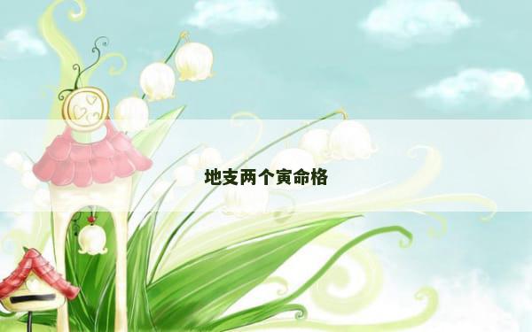 地支两个寅命格