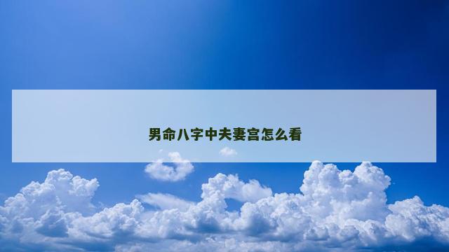 男命八字中夫妻宫怎么看