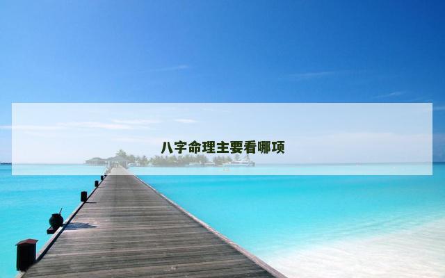 八字命理主要看哪项