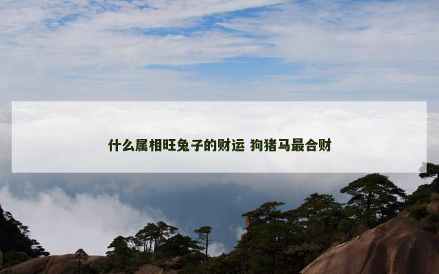 什么属相旺兔子的财运 狗猪马最合财