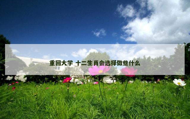 重回大学 十二生肖会选择做些什么