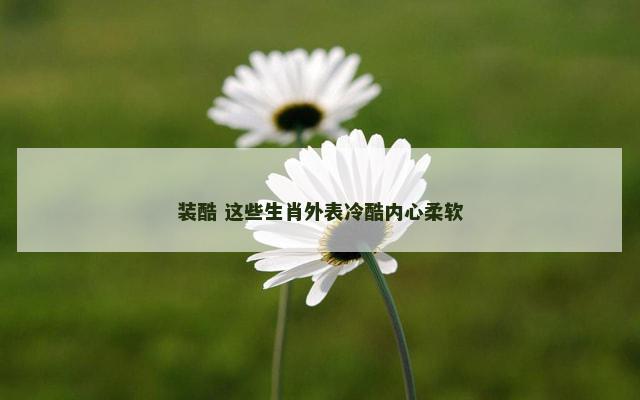 装酷 这些生肖外表冷酷内心柔软
