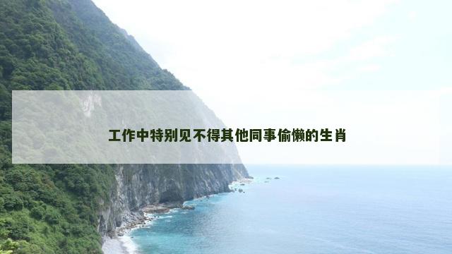 工作中特别见不得其他同事偷懒的生肖