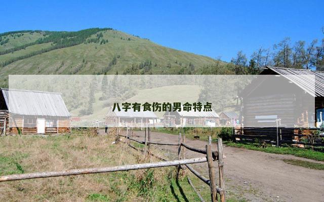 八字有食伤的男命特点