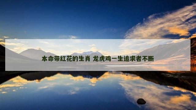 本命带红花的生肖 龙虎鸡一生追求者不断