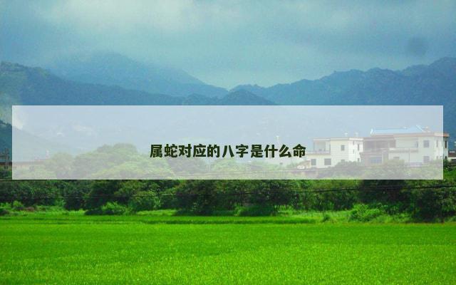 属蛇对应的八字是什么命