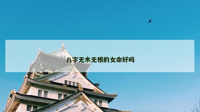 八字无木无根的女命好吗