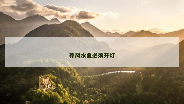 养风水鱼必须开灯