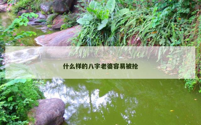 什么样的八字老婆容易被抢